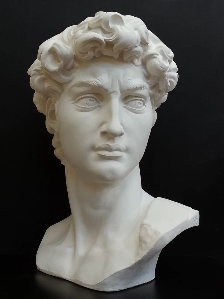 David Bust