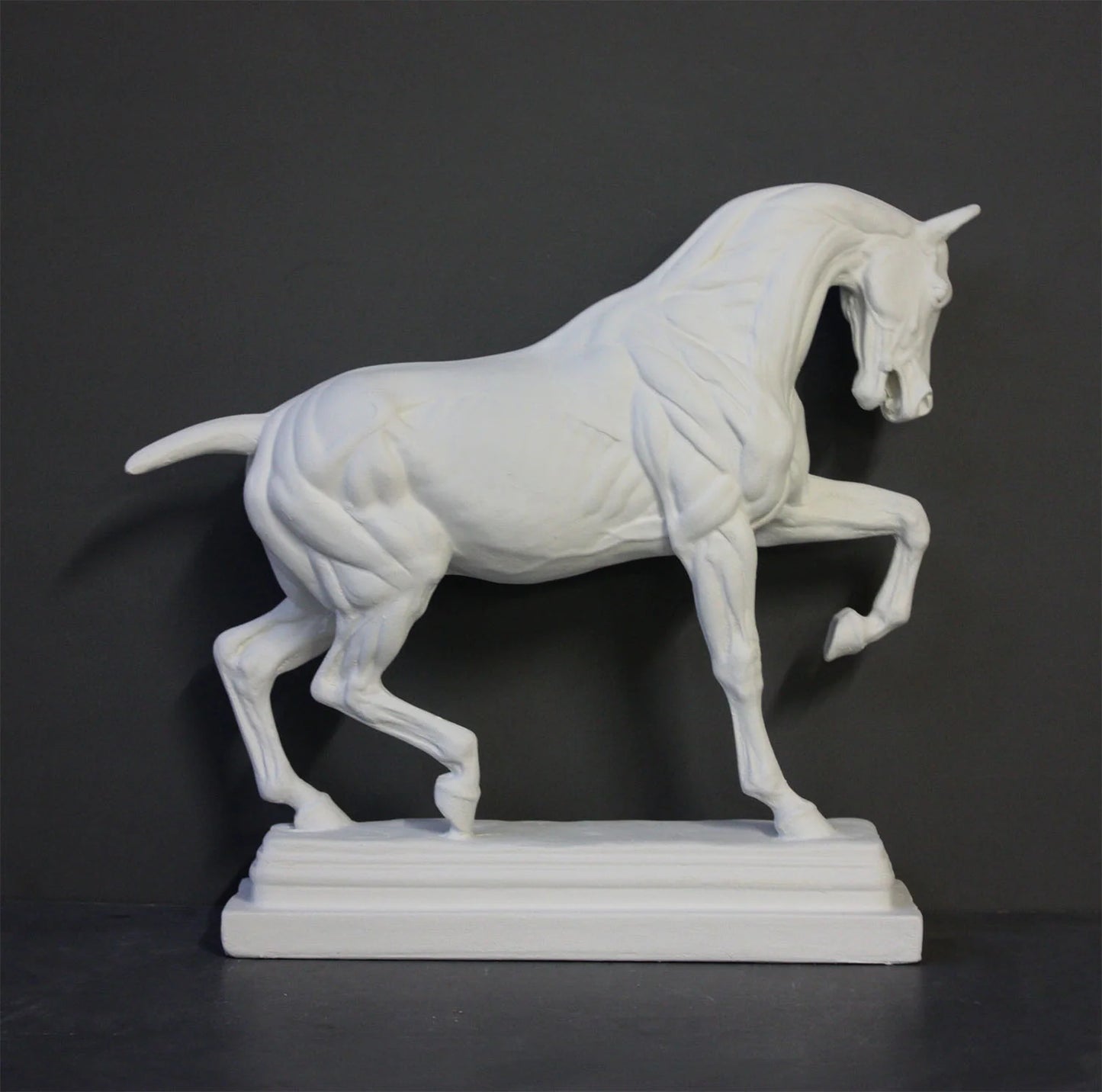 Horse Ecorche (Anatomy)