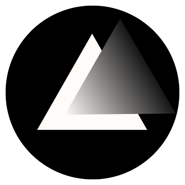 Light Is Everything logo