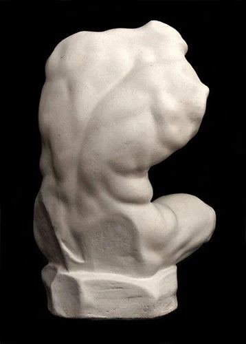 Belvedere Torso